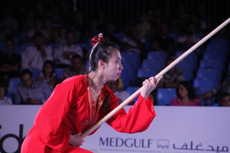 Martial Arts Festival